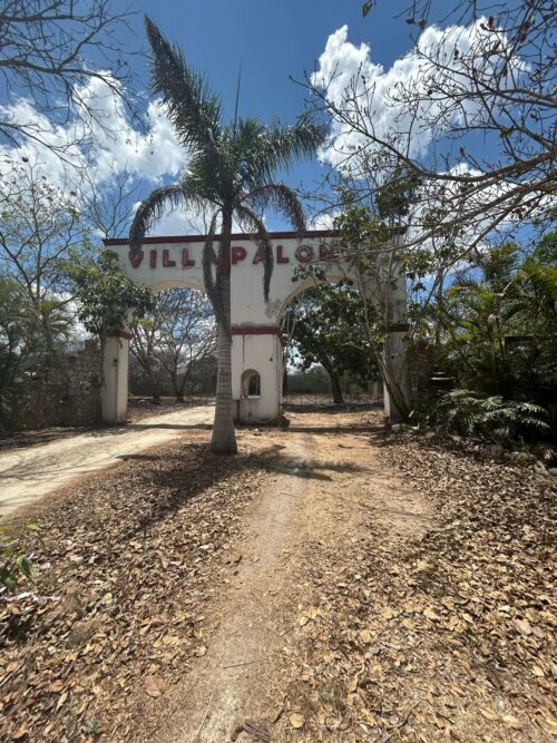 TERRENO EN VENTA BERRIOZÁBAL - 5,000 M2 - FRACCIONAMIENTO VILLA PALOMAS - Imagen 7