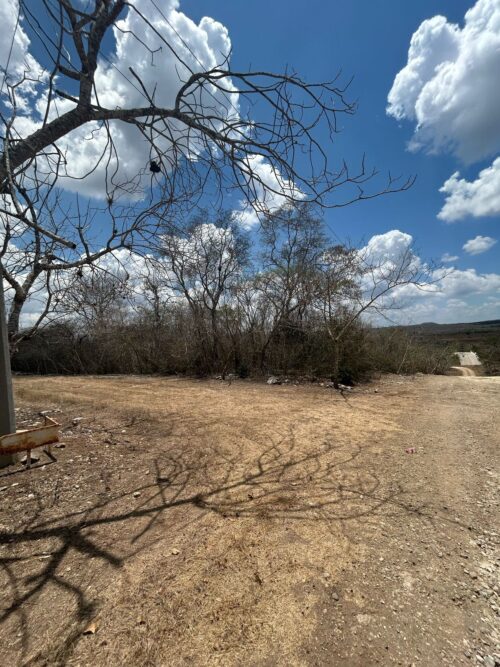 TERRENO EN VENTA BERRIOZÁBAL - 5,000 M2 - FRACCIONAMIENTO VILLA PALOMAS - Imagen 8