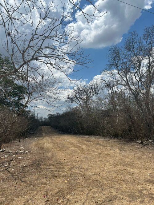 TERRENO EN VENTA BERRIOZÁBAL - 5,000 M2 - FRACCIONAMIENTO VILLA PALOMAS - Imagen 9