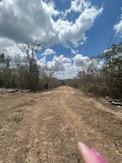 TERRENO EN VENTA BERRIOZÁBAL - 5,000 M2 - FRACCIONAMIENTO VILLA PALOMAS - Imagen 11
