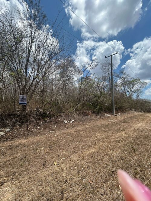 TERRENO EN VENTA BERRIOZÁBAL - 5,000 M2 - FRACCIONAMIENTO VILLA PALOMAS - Imagen 14