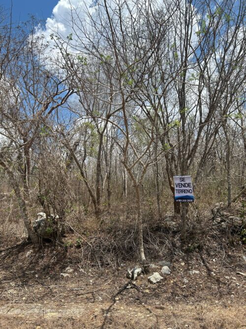 TERRENO EN VENTA BERRIOZÁBAL - 5,000 M2 - FRACCIONAMIENTO VILLA PALOMAS - Imagen 15