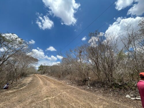 TERRENO EN VENTA BERRIOZÁBAL - 5,000 M2 - FRACCIONAMIENTO VILLA PALOMAS - Imagen 16