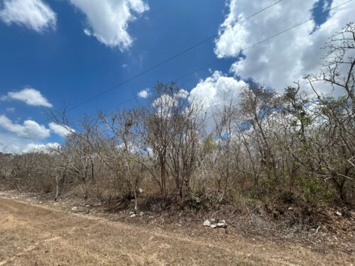 TERRENO EN VENTA BERRIOZÁBAL - 5,000 M2 - FRACCIONAMIENTO VILLA PALOMAS - Imagen 17