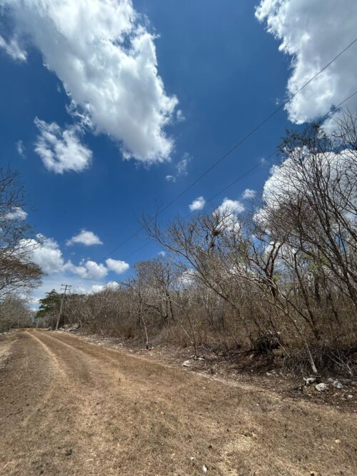 TERRENO EN VENTA BERRIOZÁBAL - 5,000 M2 - FRACCIONAMIENTO VILLA PALOMAS - Imagen 18