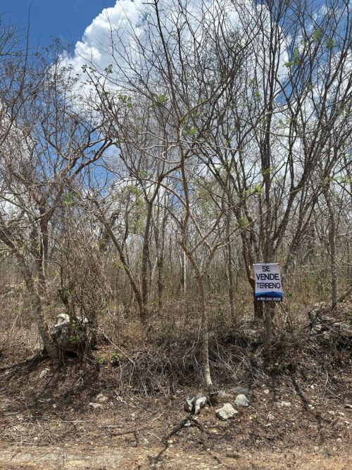 TERRENO EN VENTA BERRIOZÁBAL - 5,000 M2 - FRACCIONAMIENTO VILLA PALOMAS - Imagen 19