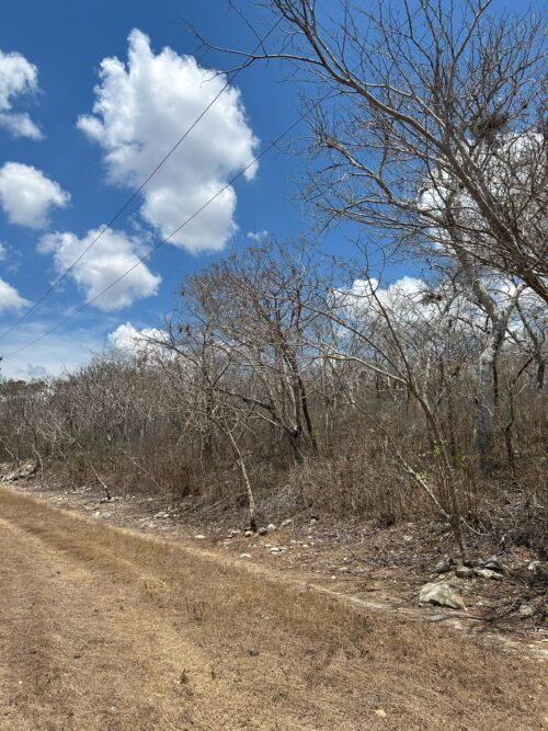 TERRENO EN VENTA BERRIOZÁBAL - 5,000 M2 - FRACCIONAMIENTO VILLA PALOMAS - Imagen 20