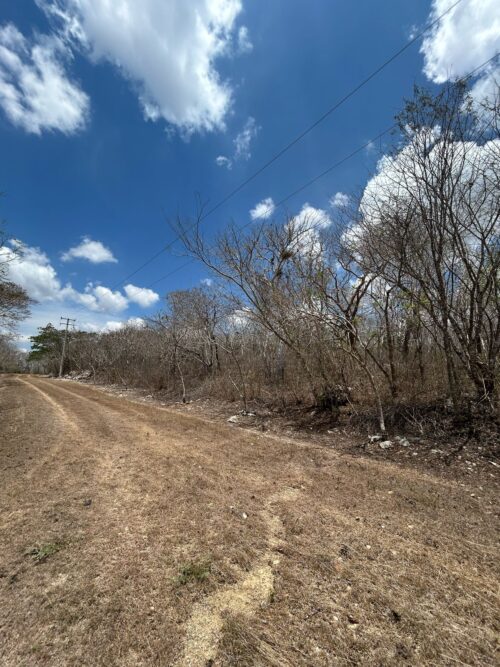 TERRENO EN VENTA BERRIOZÁBAL - 5,000 M2 - FRACCIONAMIENTO VILLA PALOMAS - Imagen 21