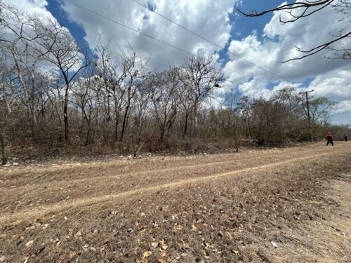 TERRENO EN VENTA BERRIOZÁBAL - 5,000 M2 - FRACCIONAMIENTO VILLA PALOMAS - Imagen 22