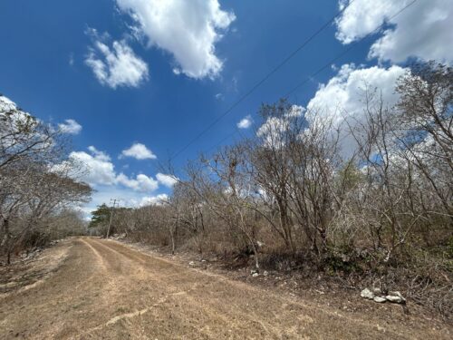 TERRENO EN VENTA BERRIOZÁBAL - 5,000 M2 - FRACCIONAMIENTO VILLA PALOMAS - Imagen 23