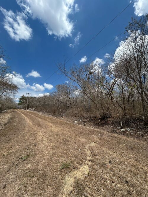 TERRENO EN VENTA BERRIOZÁBAL - 5,000 M2 - FRACCIONAMIENTO VILLA PALOMAS - Imagen 24