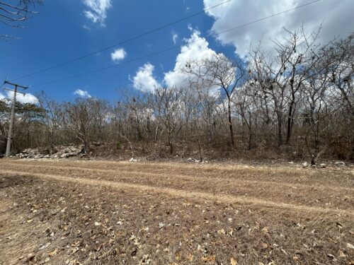 TERRENO EN VENTA BERRIOZÁBAL - 5,000 M2 - FRACCIONAMIENTO VILLA PALOMAS - Imagen 25