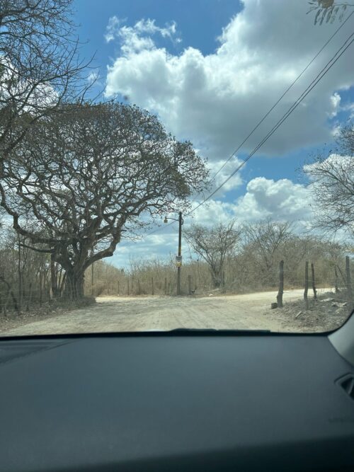 TERRENO EN VENTA BERRIOZÁBAL - 5,000 M2 - FRACCIONAMIENTO VILLA PALOMAS - Imagen 4
