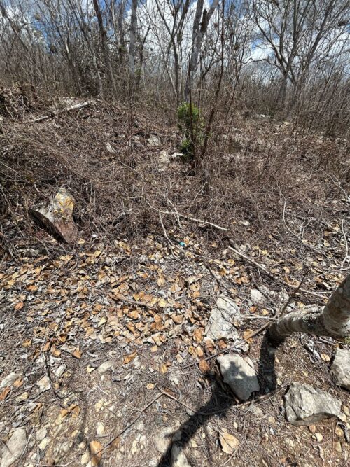 TERRENO EN VENTA BERRIOZÁBAL - 5,000 M2 - FRACCIONAMIENTO VILLA PALOMAS - Imagen 27