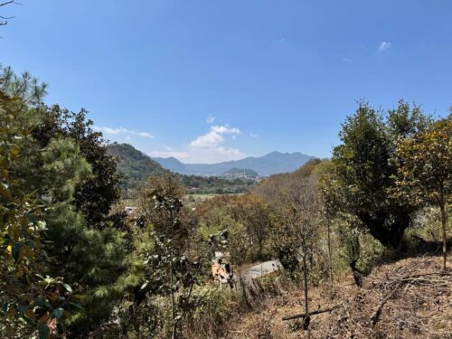 TERRENO EN VENTA- 316 M2 - FRACCIONAMIENTO SANTA RITA - SAN CRISTOBAL DE LAS CASAS, CHIAPAS - Imagen 10